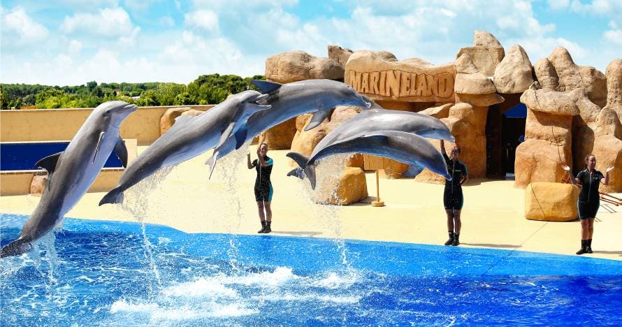 Marineland Catalunya