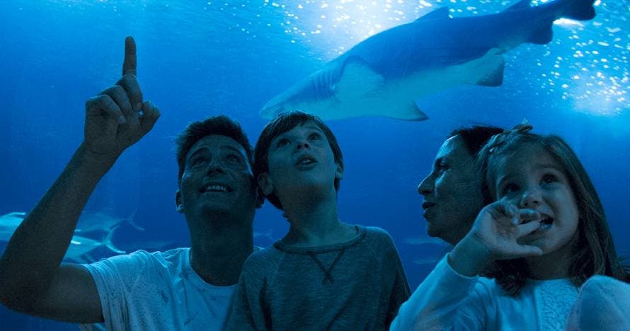 Oceanogràfic o Ciudad de las Artes y de las Ciencias o Combo