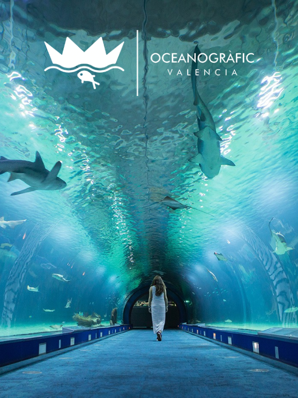 Oceanogràfic o Ciudad de las Artes y de las Ciencias o Combo