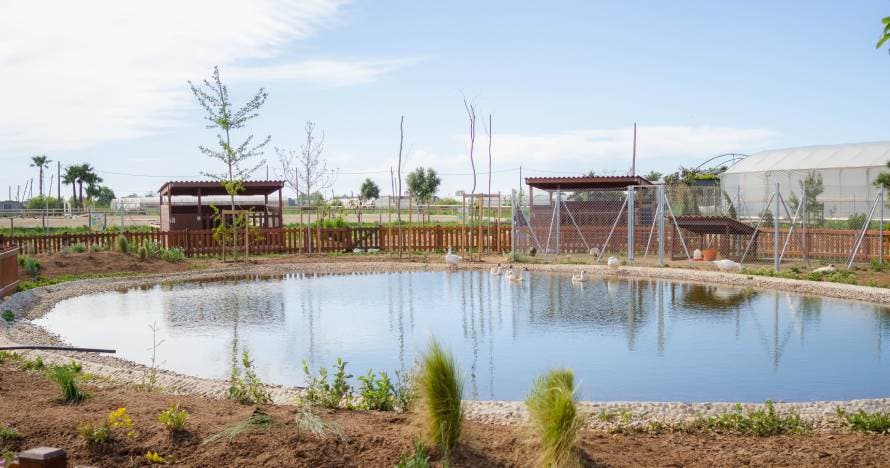 Explora la granja y descubre la belleza del Espacio Botánico