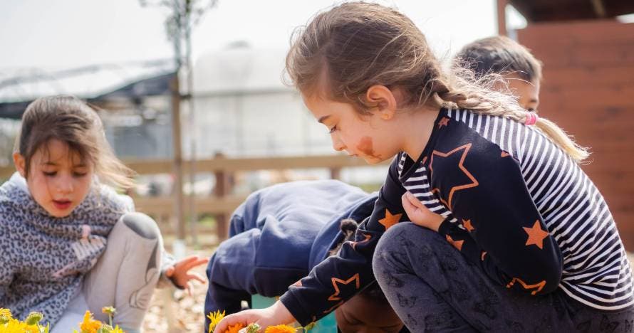 Explora la granja y descubre la belleza del Espacio Botánico