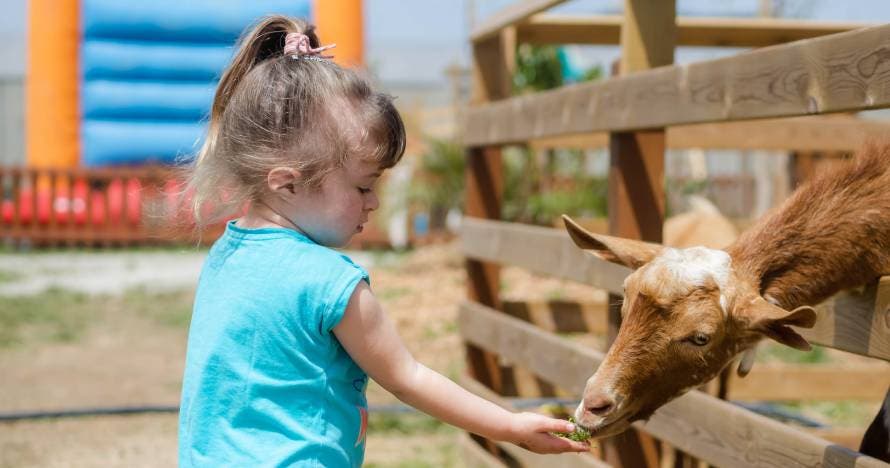 Explora la granja y descubre la belleza del Espacio Botánico