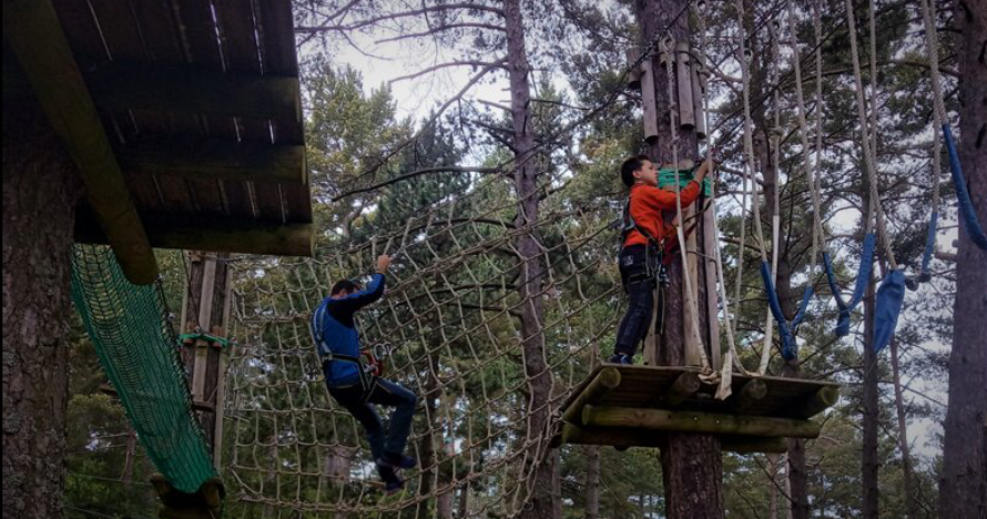 ¡Aventura en Pedraforca Parc! Diversión en 7 circuitos en los árboles