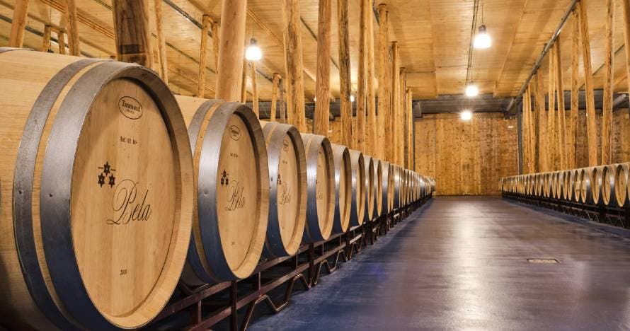 Experiencia en Bodega Bela: viñedo, bodega y cata maridada