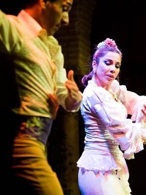 Billete combinado: Puro Flamenco Show + Visita al Museo Flamenco