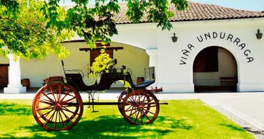 Tour Via Undurraga AM o PM + Traslados