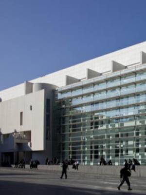 Entradas al  Museo de Arte Contemporneo de Barcelona (MACBA)