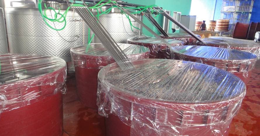 Explora Bodegas Canopy: viñedos, bodega y cata de vinos