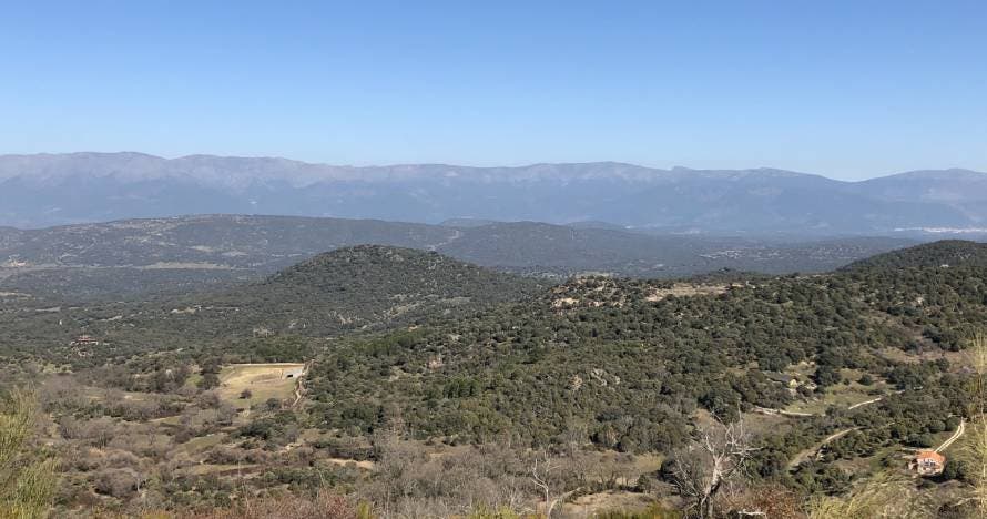 Explora Bodegas Canopy: viñedos, bodega y cata de vinos