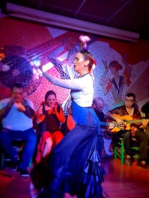 Cena gourmet con espectculo de flamenco
