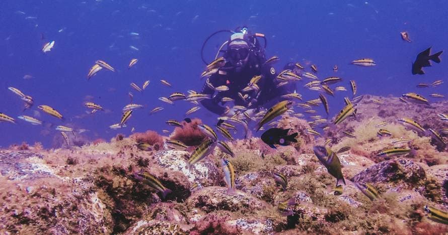 Bautizo de buceo - Discover Scuba Diving