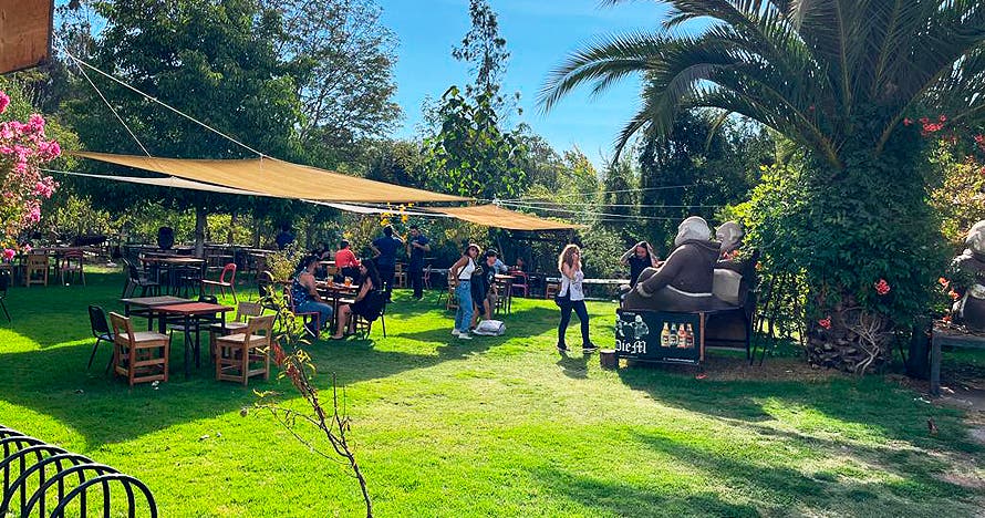 Tour y cerveza en Die M Cervecería Artesanal, Buin