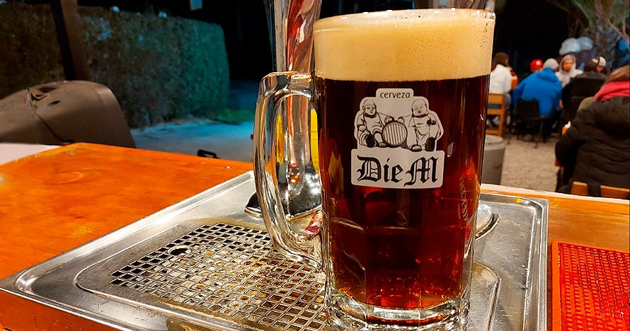 Tour y cerveza en Die M Cervecería Artesanal, Buin