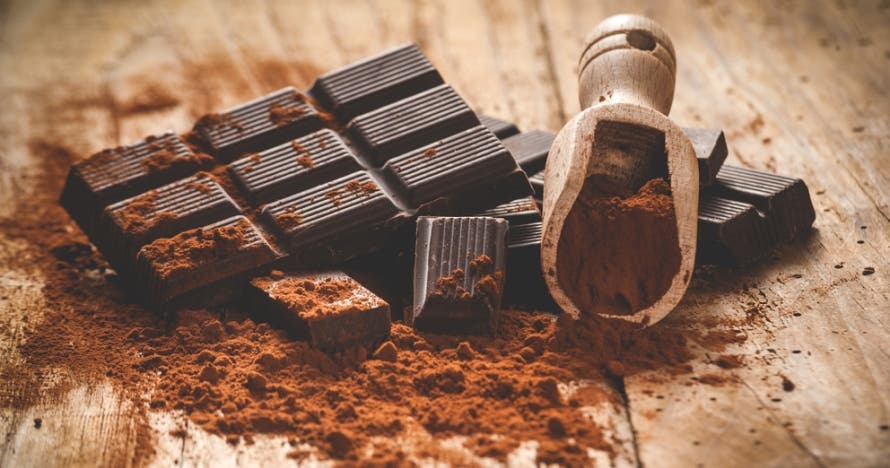 CHOCOMASTER ARAGÓN: taller y cata gourmet de chocolates profesionales