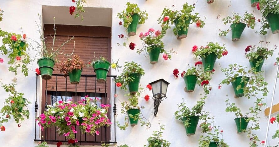 Free Tour por los Patios de Córdoba