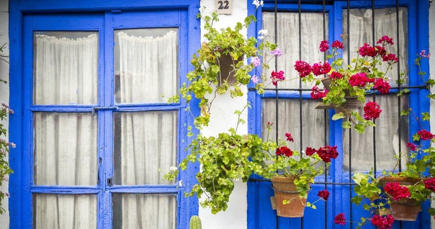 Free Tour por los Patios de Córdoba