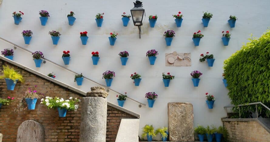 Free Tour por los Patios de Córdoba