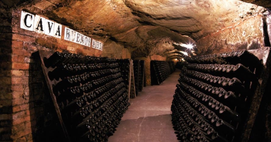 Descubre la historia y el lujo del cava en el Codorniu Discovery Tour