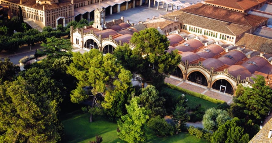 Descubre la historia y el lujo del cava en el Codorniu Discovery Tour