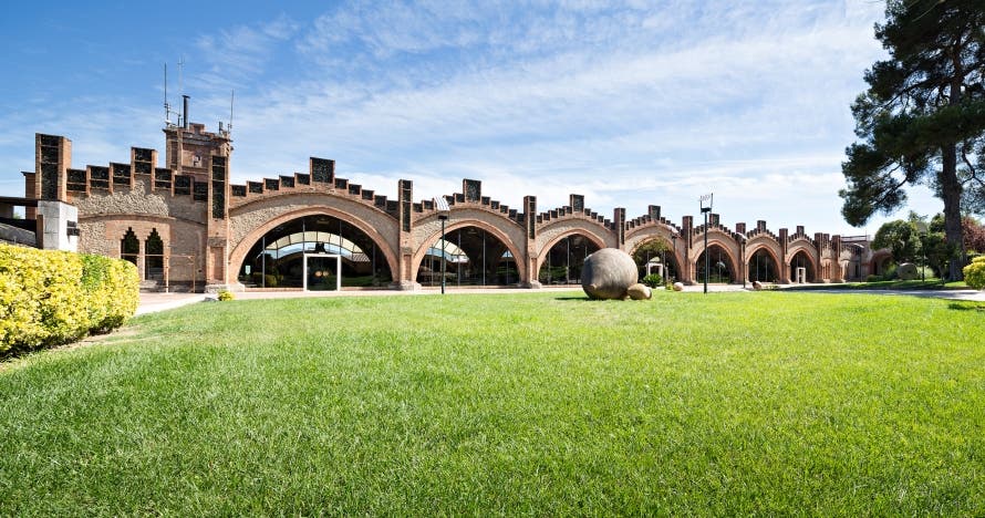 Descubre la historia y el lujo del cava en el Codorniu Discovery Tour