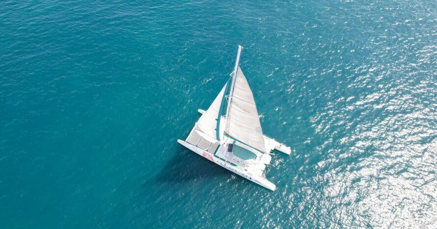Paseo en Catamarán de Vela por la Bahía de Málaga