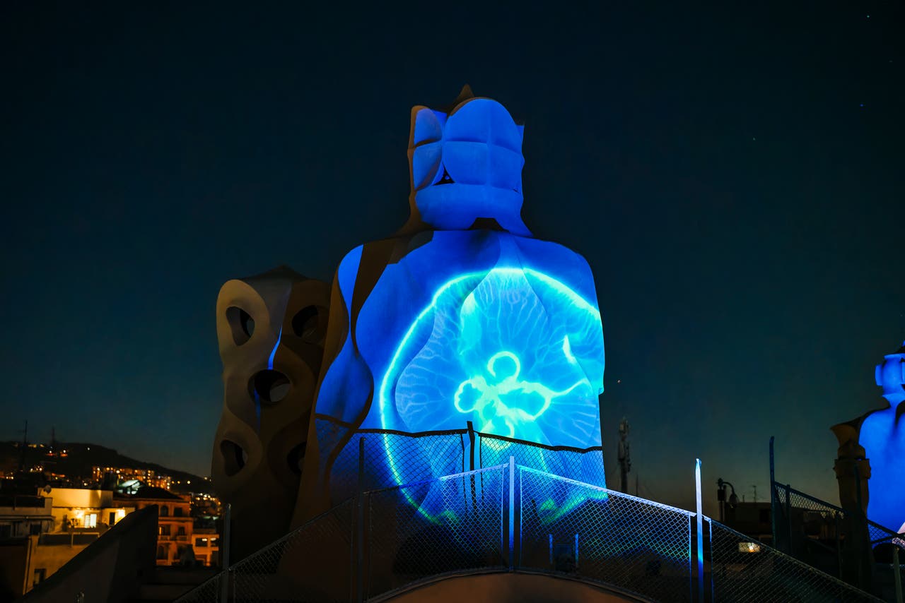 La Pedrera Night Experience