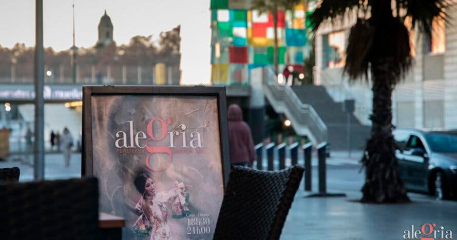 Show Flamenco en Malaga - Alegría