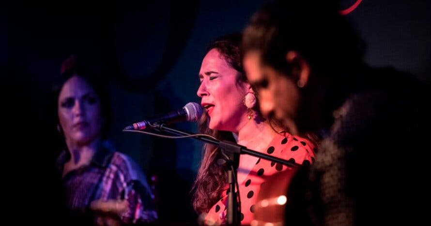 Show Flamenco en Malaga - Alegría