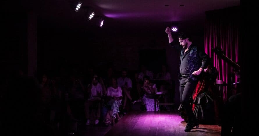 Show Flamenco en Malaga - Alegría