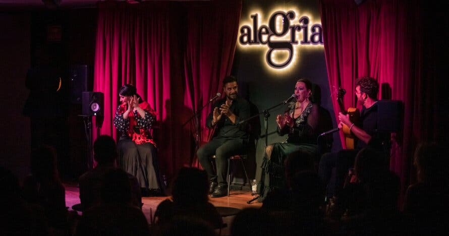 Show Flamenco en Malaga - Alegría