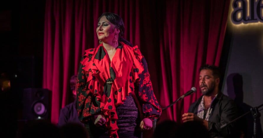 Show Flamenco en Malaga - Alegría