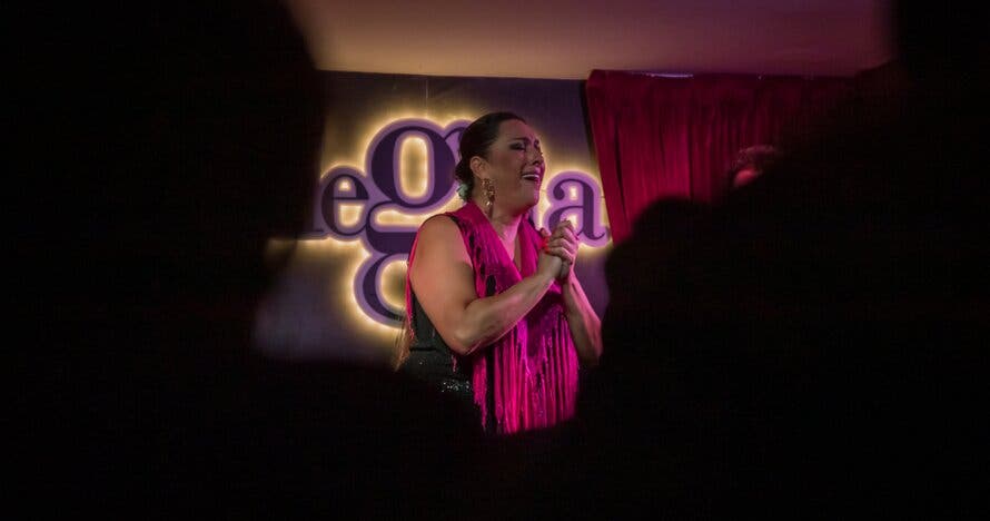 Show Flamenco en Malaga - Alegría