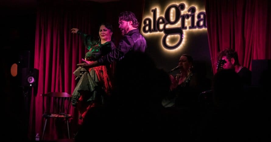 Show Flamenco en Malaga - Alegría
