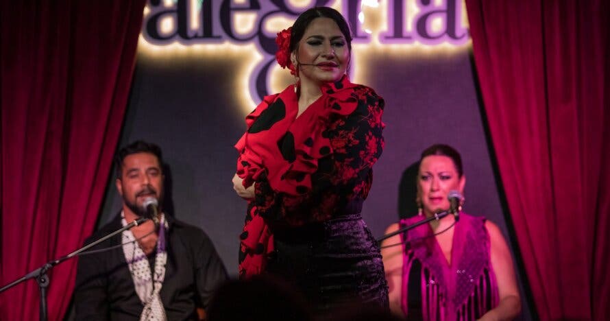 Show Flamenco en Malaga - Alegría