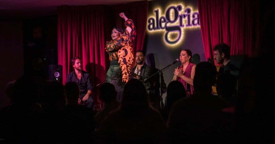 Show Flamenco en Malaga - Alegría