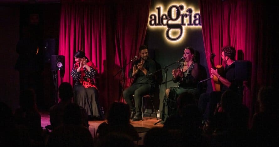 Show Flamenco en Malaga - Alegría