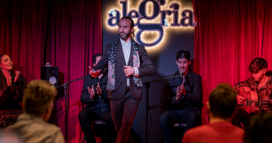 Show Flamenco en Malaga - Alegría