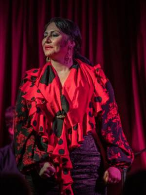 Show Flamenco en Malaga - Alegría
