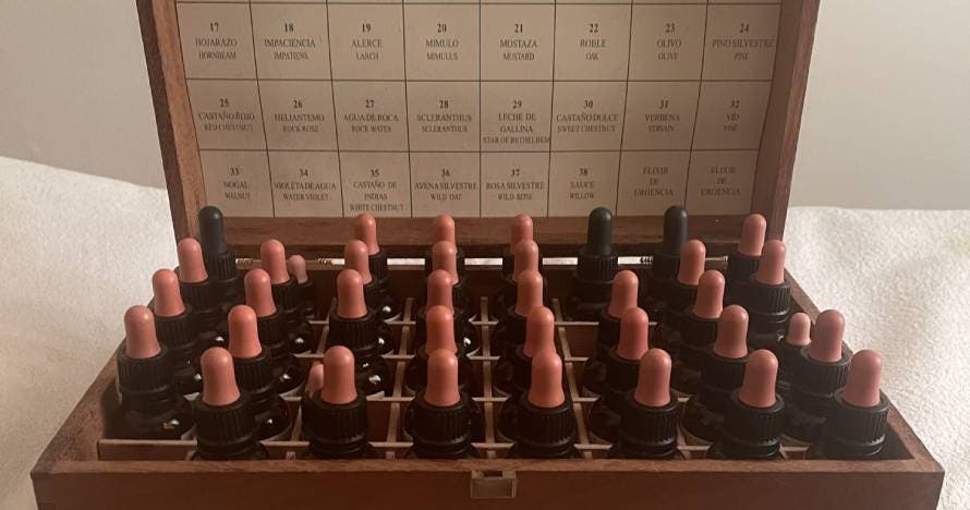 Mejora tu salud con terapia floral, masajes y kinesiología