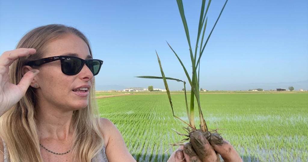 Descubre la bodega Kensho y prueba sus sakes únicos