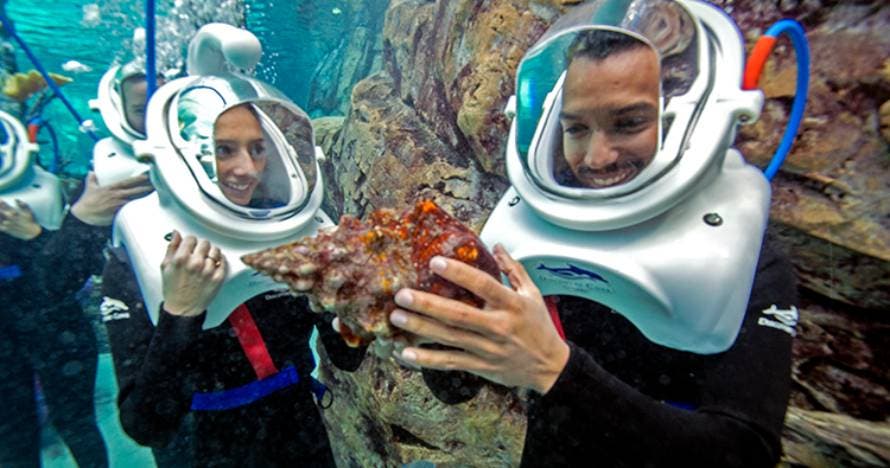 SeaVenture en Discovery Cove