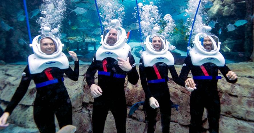 SeaVenture en Discovery Cove