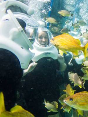 SeaVenture en Discovery Cove