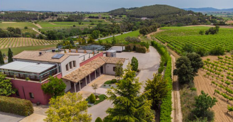 Degustación de vinos para descubrir nuevos olores y sabores
