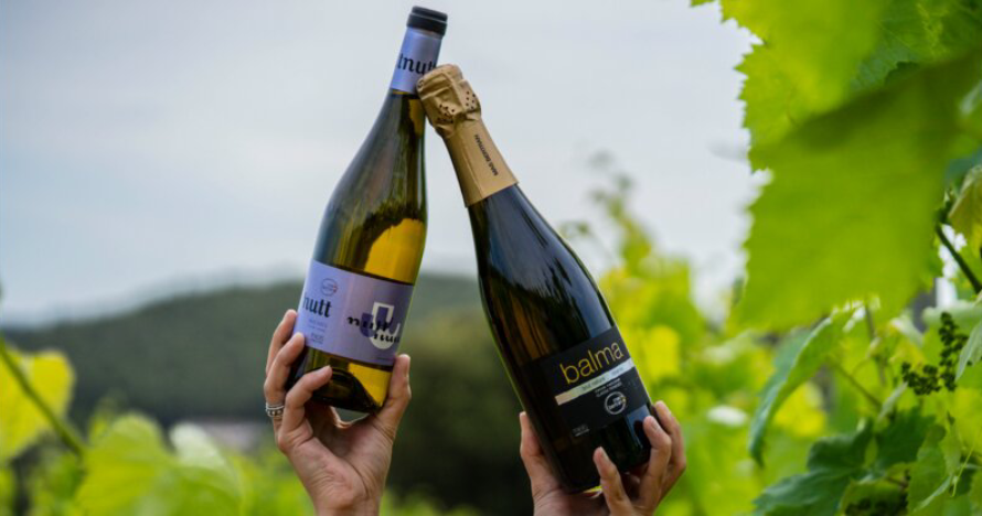 Degustación de vinos para descubrir nuevos olores y sabores