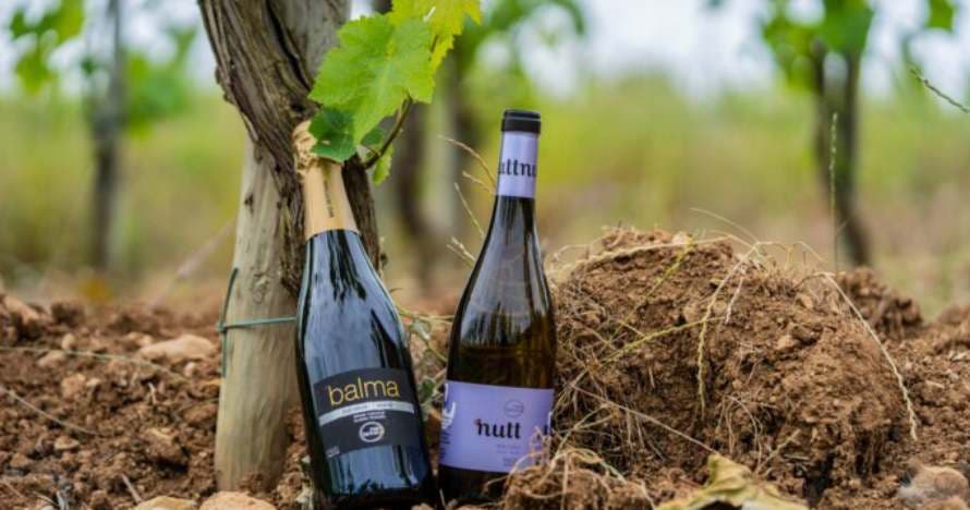 Experiencia única: visita, degustación y obsequio en bodega familiar