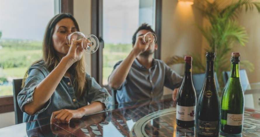 Experiencia única: visita, degustación y obsequio en bodega familiar