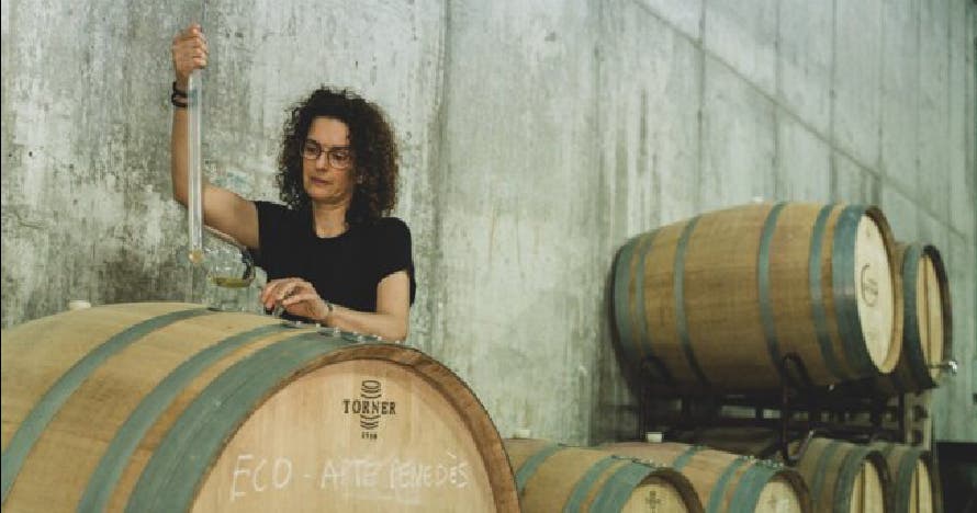 Visita guiada en la bodega seguido de cesta picnic para 2 personas