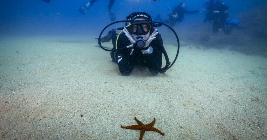 Buceo y gastronomía en Tossa con transporte ida y vuelta incluido