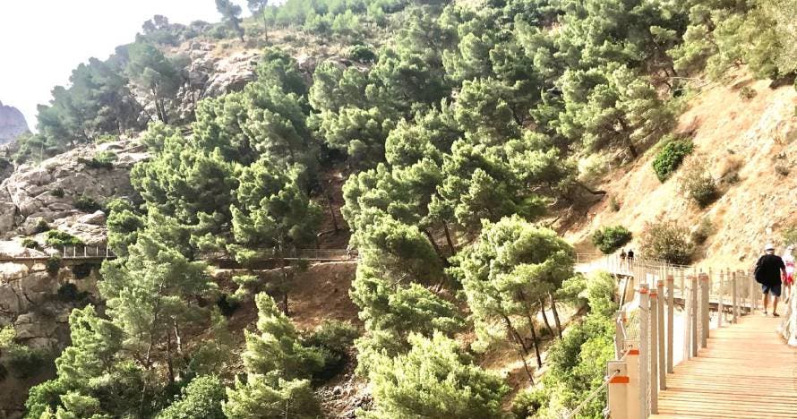 Descubre el emocionante Caminito del Rey con guía y transporte